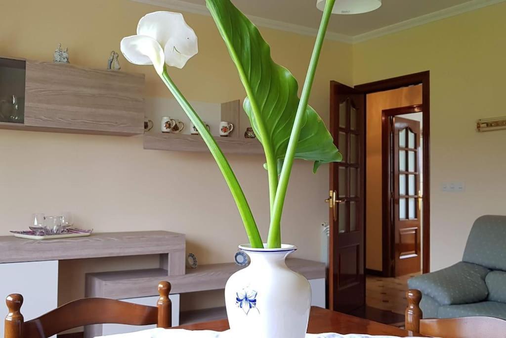 Apartamento A Pampillosa Fazouro Екстериор снимка